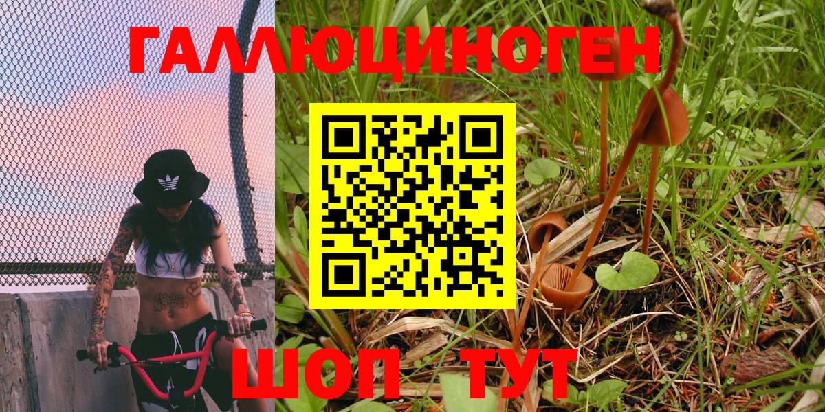 Галлюциногенные грибы Psilocybe  Вход с VPN  Сергиев Посад  Галлюциногенные грибы Psilocybe 